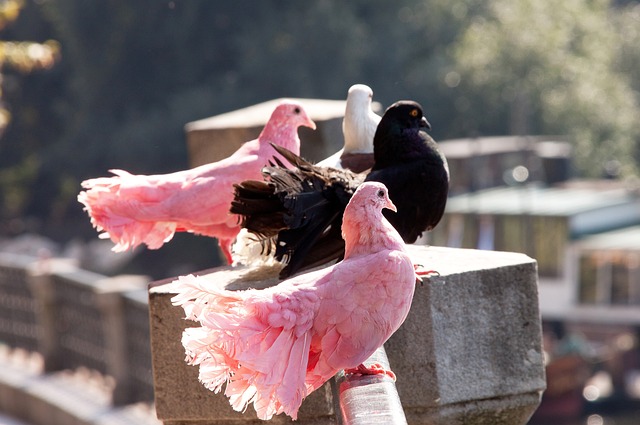也注入了一 也注入了一
