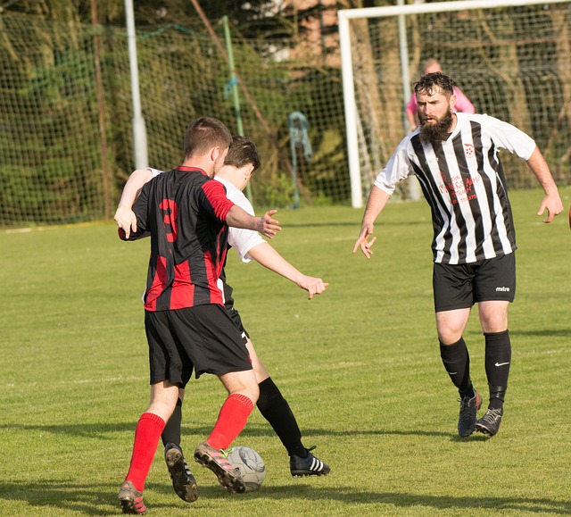 这一调整是 这一调整是