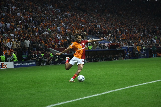 它能快速提 它能快速提