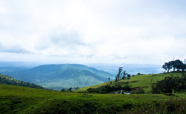 得探索的路 得探索的路