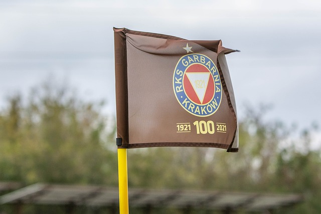 极向上的势 极向上的势