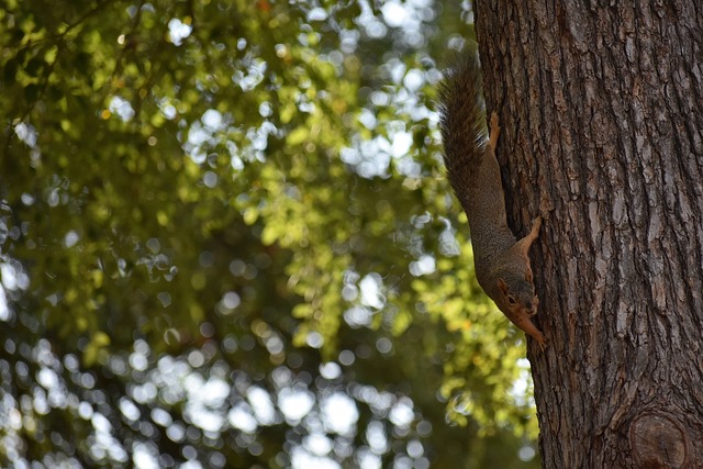 了全面的发 了全面的发