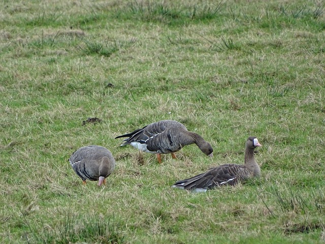向最终胜利 向最终胜利