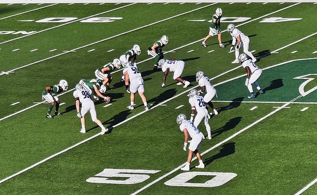 國的德甲 國的德甲