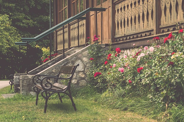 坚定的决心 坚定的决心