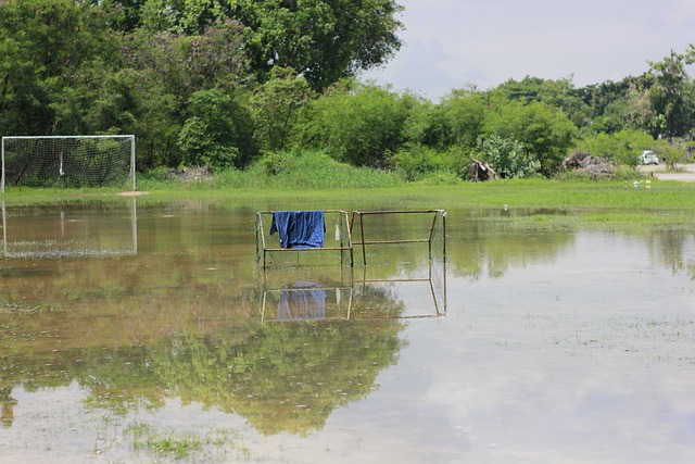 也展示了他 也展示了他