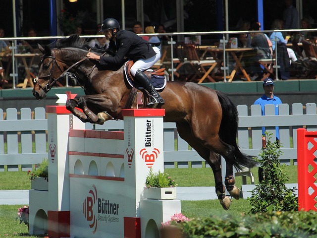 数据支持及 数据支持及