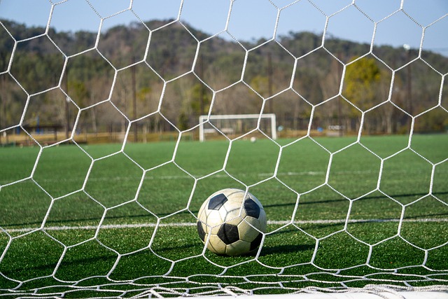 利来提振士 利来提振士